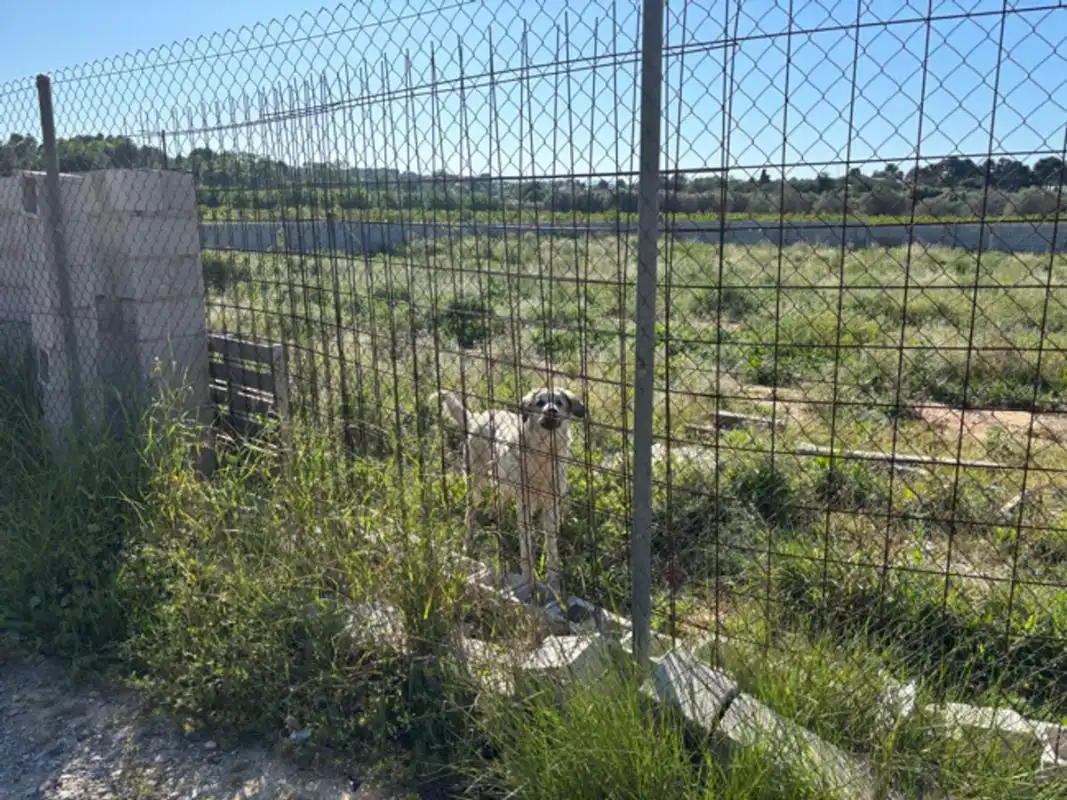 Residential land for sale in Polígono, imagen 6