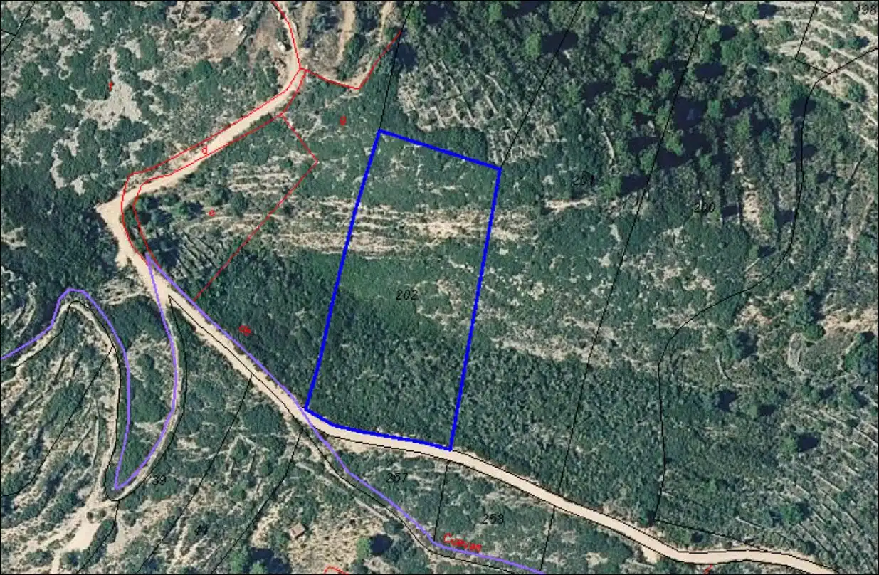 Terreno rústico en venta en Alcalà de Xivert pueblo, imagen 4