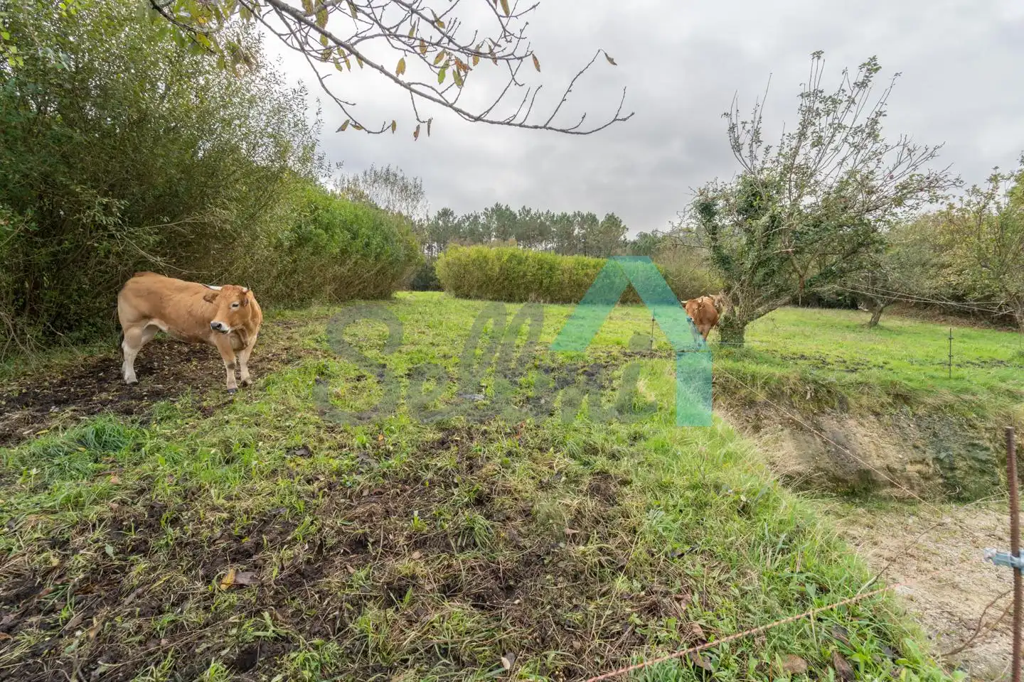 Casa o xalet en venda en Cudillero amb Jardí privat i Traster