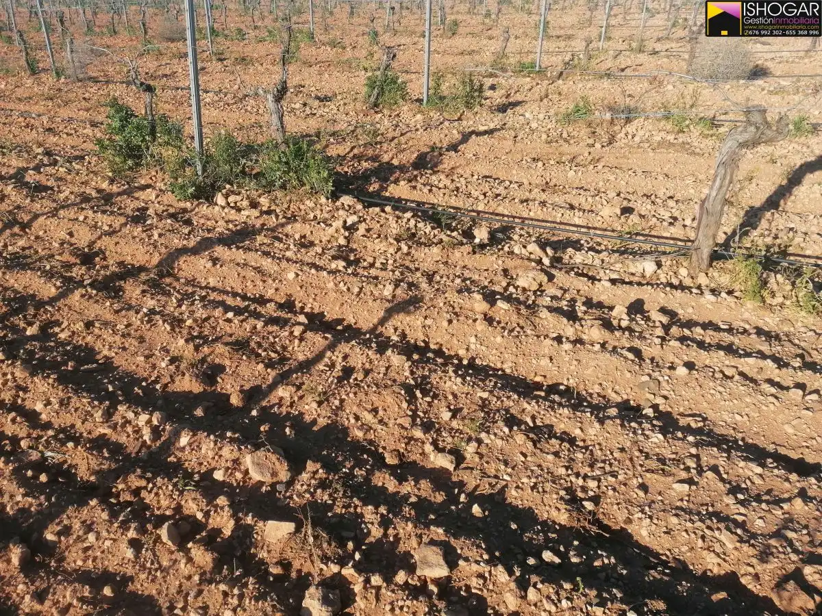 Casa rústica en venda a Valdepeñas, imagen 3
