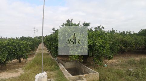 Foto 2 de Terreno en venta en La Coma, -1, Pere Crespí, Alzira
