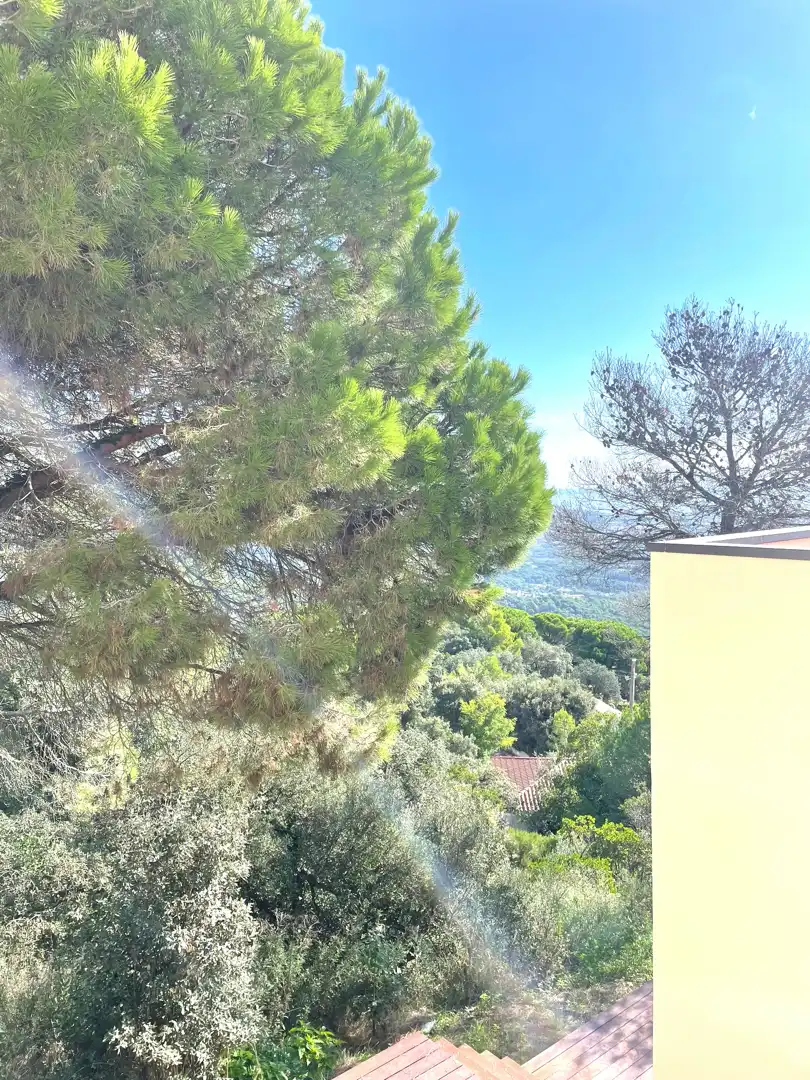 Casa con terraza en venta en Palafolls, imagen 62