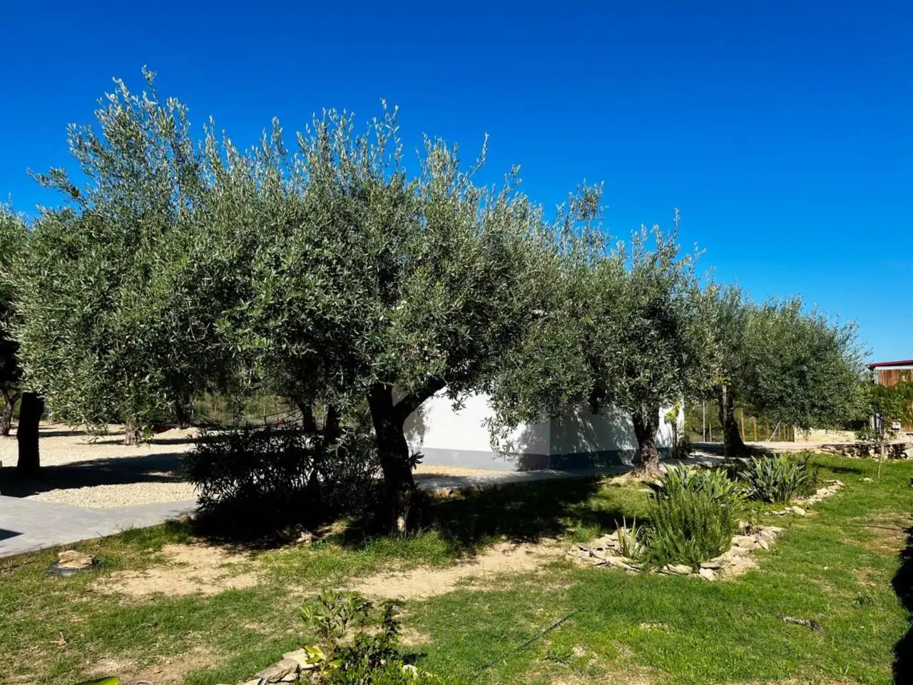 Jardí de Finca rústica en venda en San Jorge / Sant Jordi amb Calefacció, Jardí privat i Terrassa