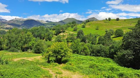 FINCA EDIFICABLE CON VISTAS A 10 MINUTOS DE CANGAS DE ONIS, immagine 3