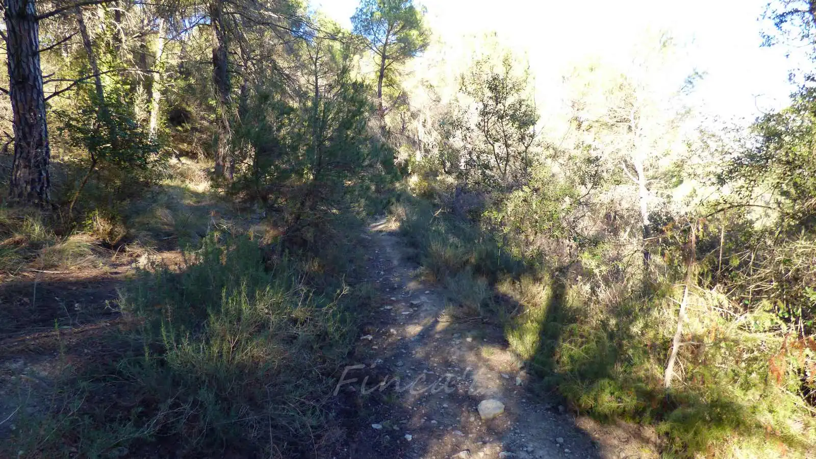 Terrain rustique à vendre à Monistrol de Calders, imagen 17