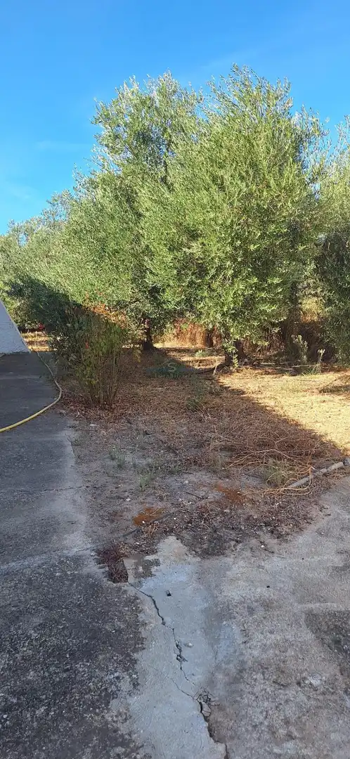 Country homes for sale in Gibraleón  with Storage room and Community pool