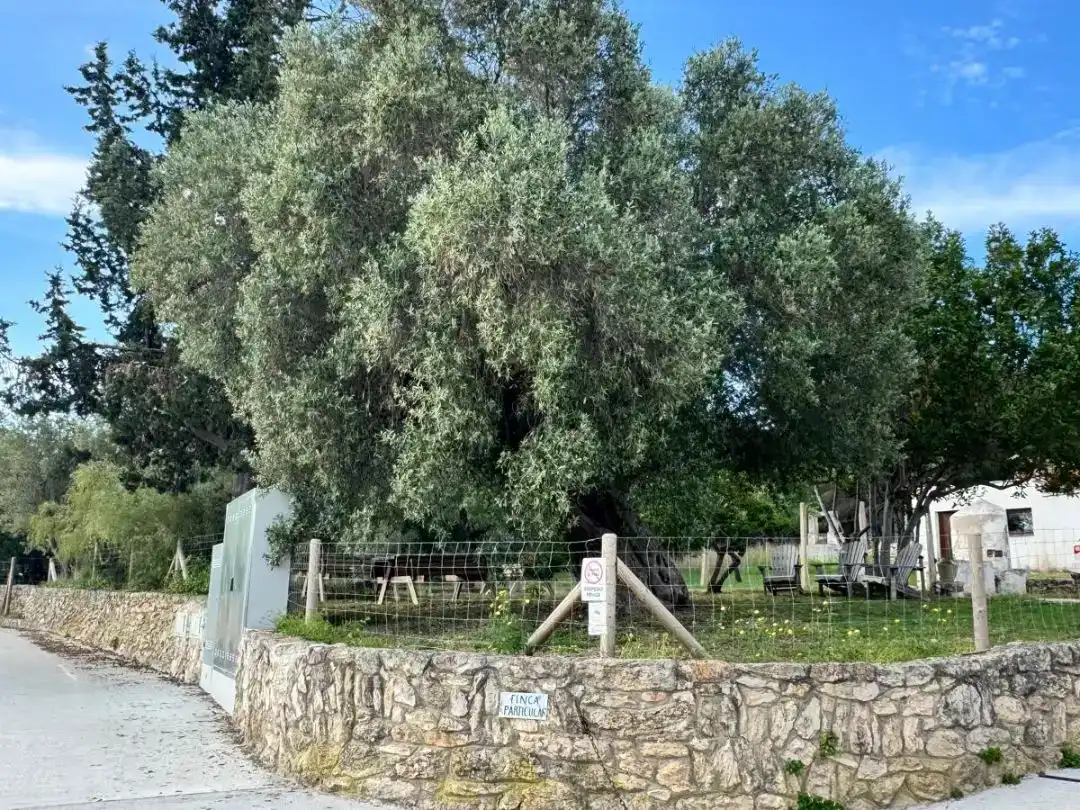 Casa o xalet en venda en Sant Pere de Ribes amb Aire condicionat