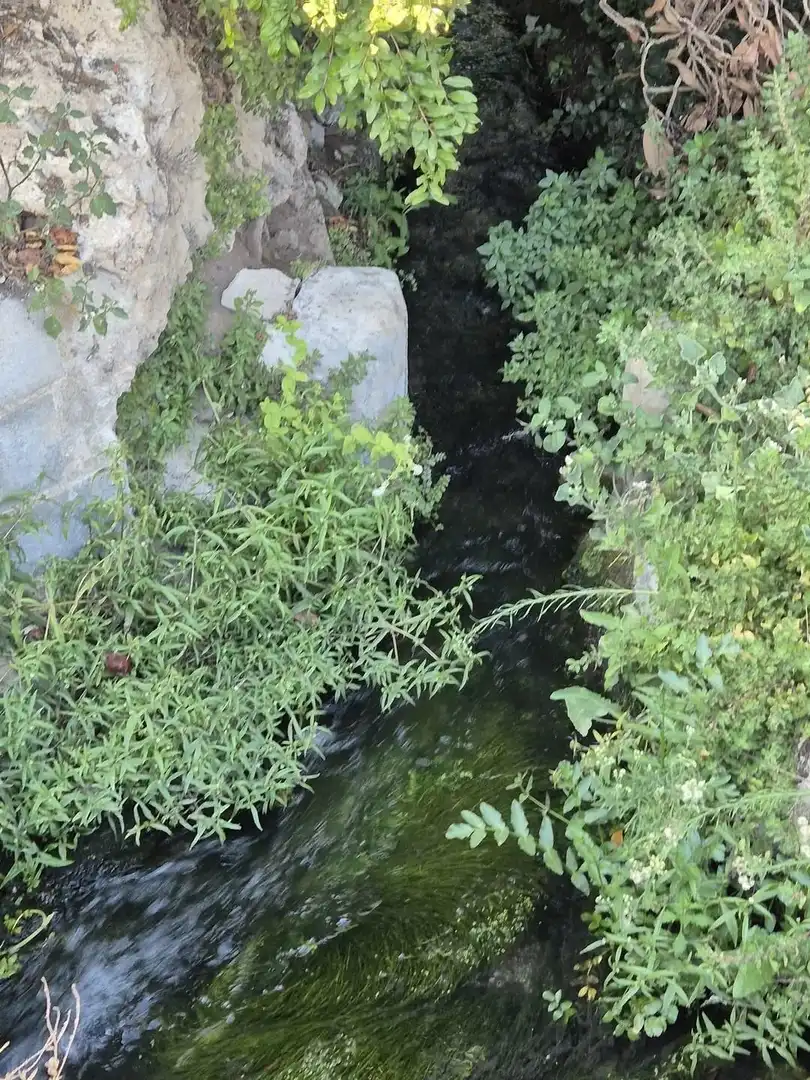 Terreny rústic en venda a Loja, imagen 19