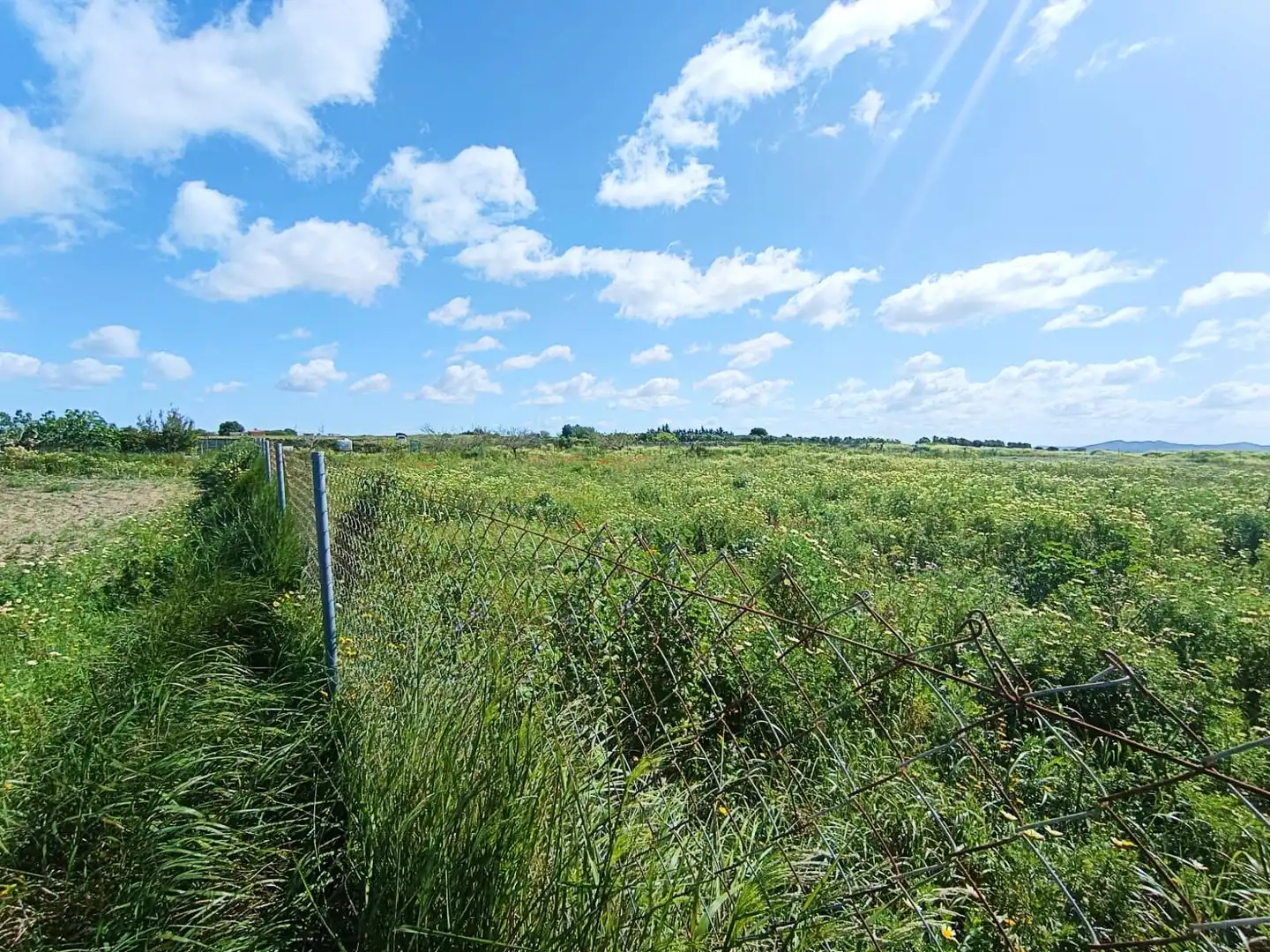 Terreno residenziale in vendita a Los Franceses – La Vega, imagen 3