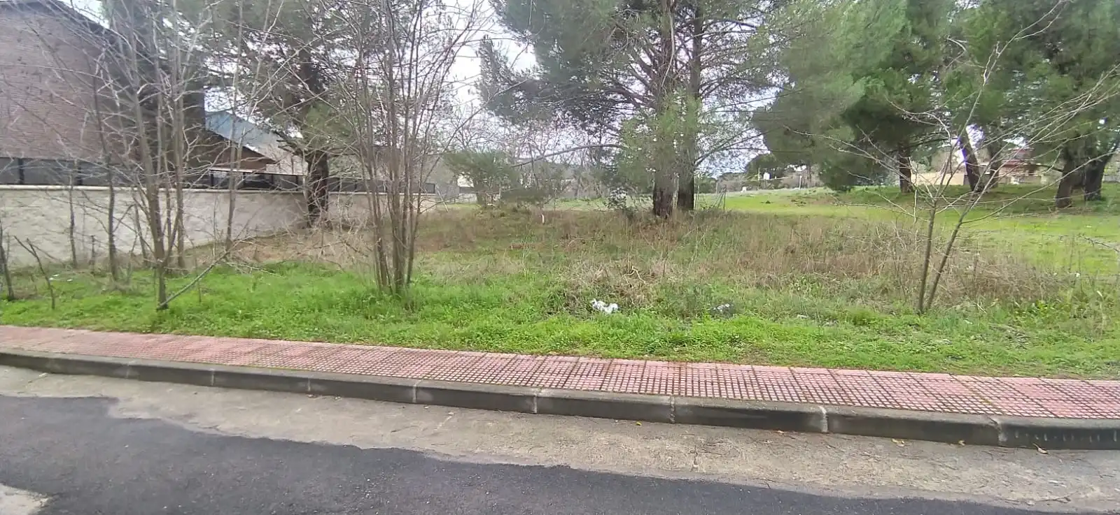 Casa amb terrassa en venda a Calle de Restituto Moreno, imagen 19