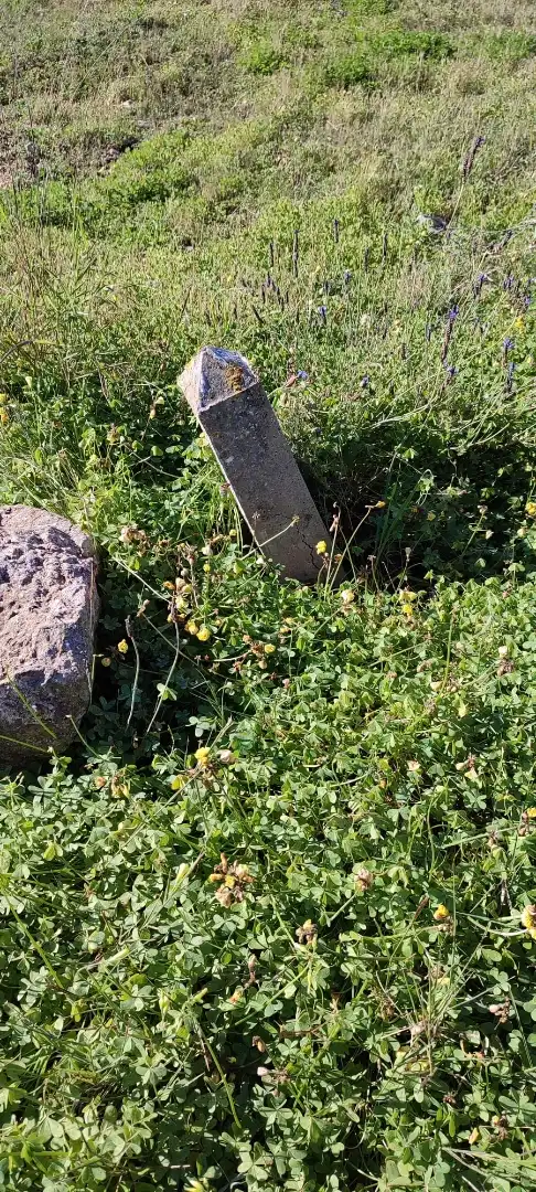 Garden of Land for sale in Cartagena