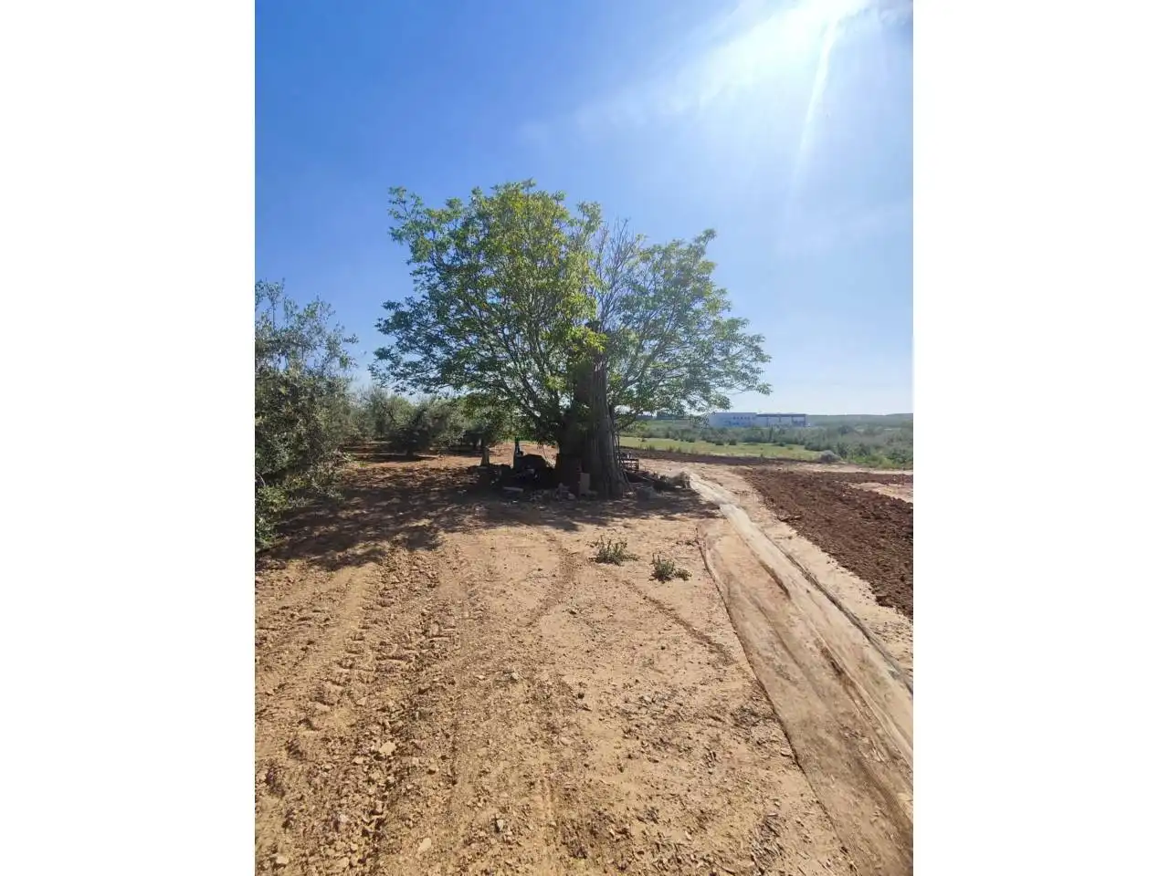 Terreno en venta en Zaidín