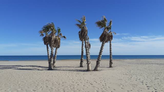 Terreno residencial en Venta en Centro Puerto