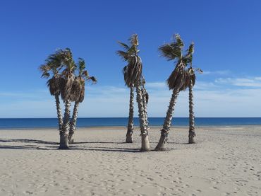 Terreno residencial en venta en Puerto de Sagunto