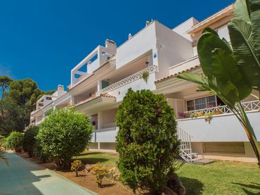 Pis amb piscina en venda a Avenida de la Alcudia 122