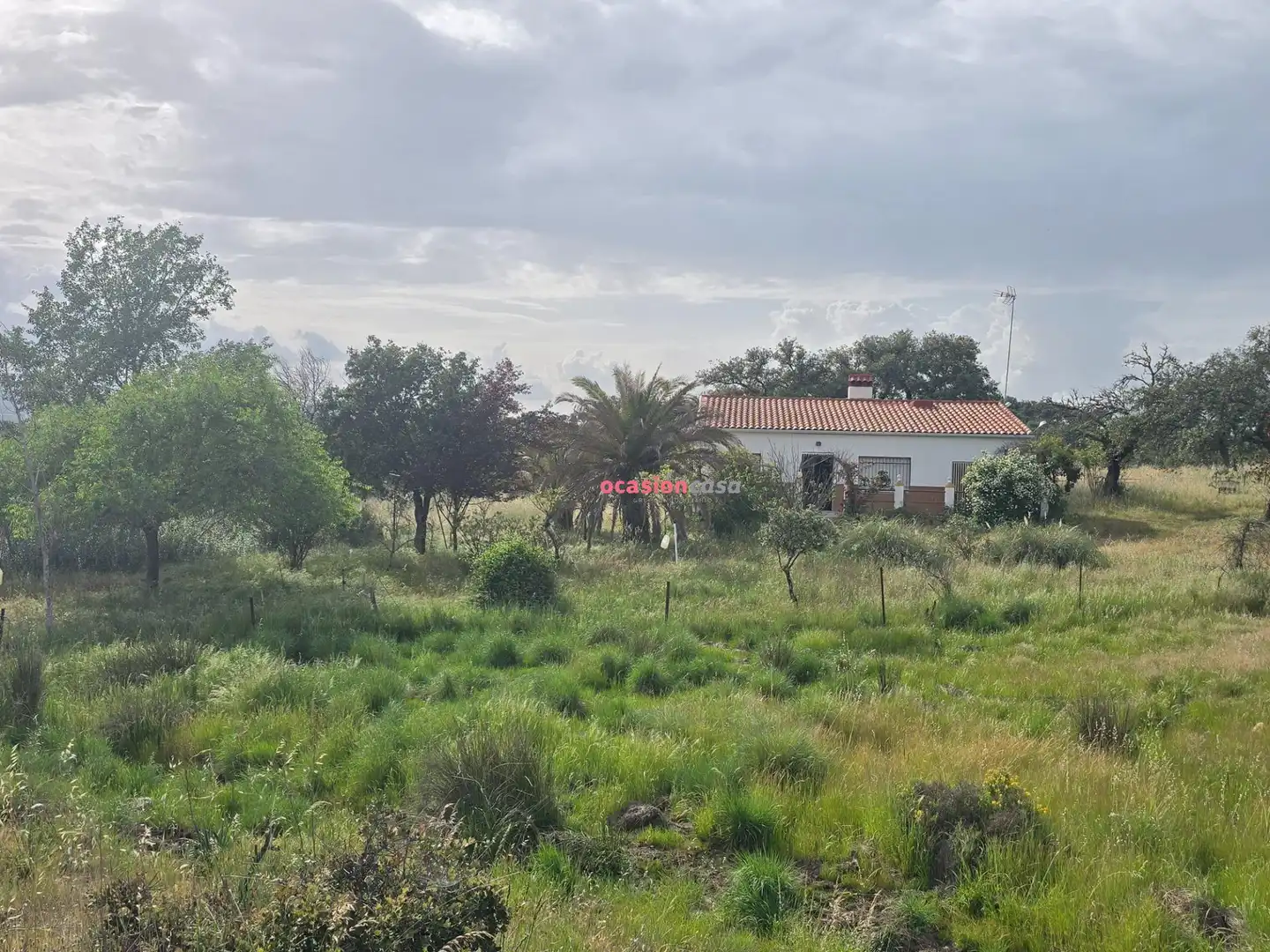 Casa o xalet en venda en Alcaracejos