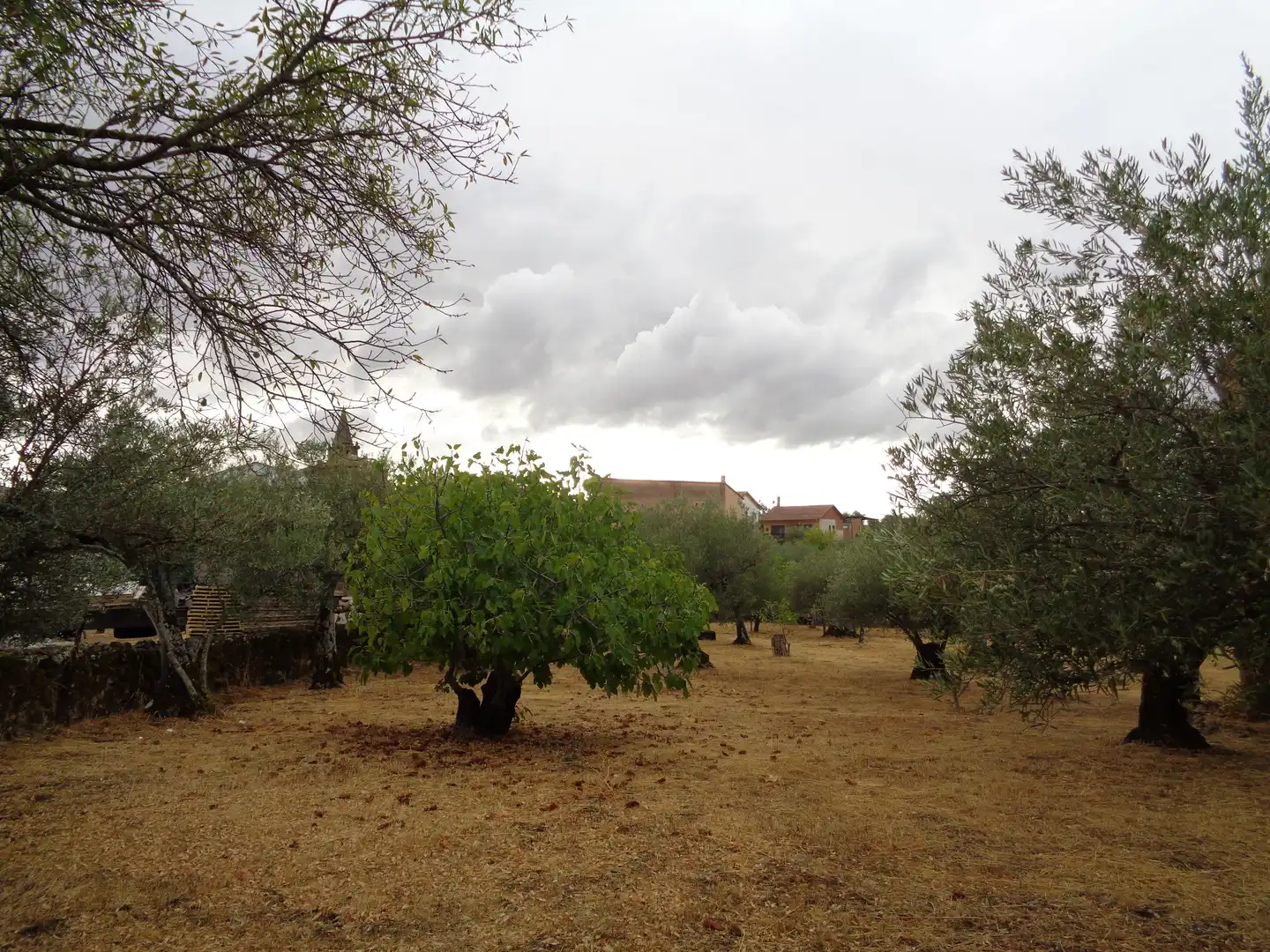 Residential for sale in Carretera de Pasaron, Tejeda de Tiétar