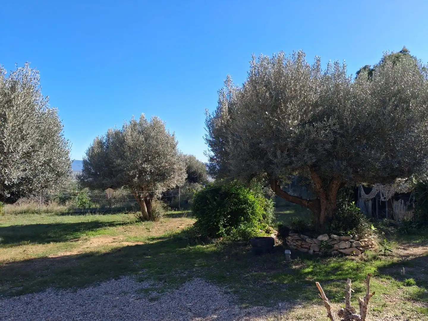 Finca rústica en venda en Móra d'Ebre