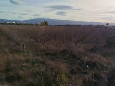 Terreno residencial en venta en L'Olleria