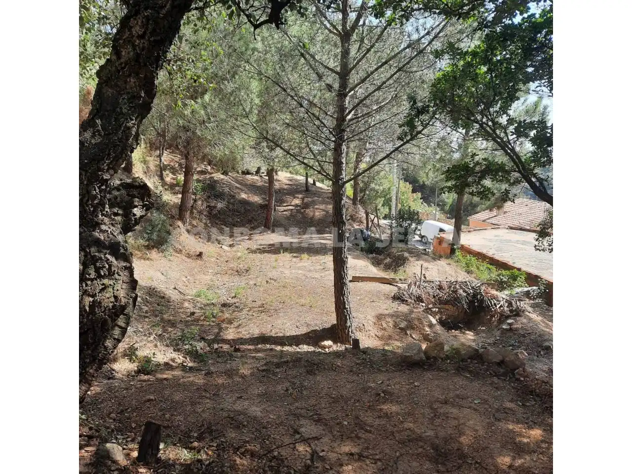 Terrenos y solares en venta en Riudarenes, imagen 16