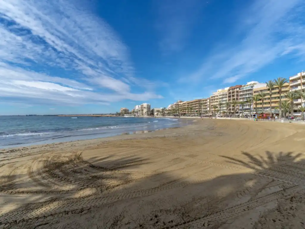 Apartment for sale in Calle Ramon Y Cajal 73, imagen 30