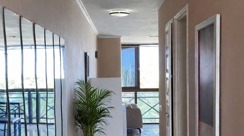 Foto 2 de Apartamento en venta en Tamaide - El Roque, San Miguel de Abona