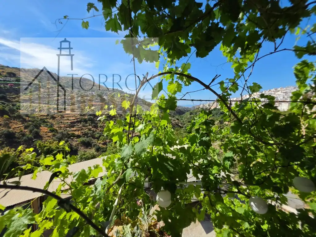 Casa o xalet en venda en Torrox