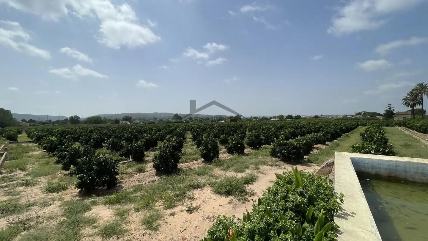 Finca rústica en venda en Alzira