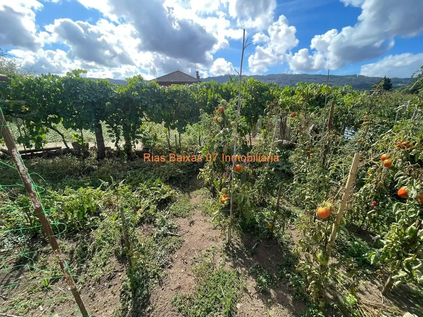 Houses for sale in Mos