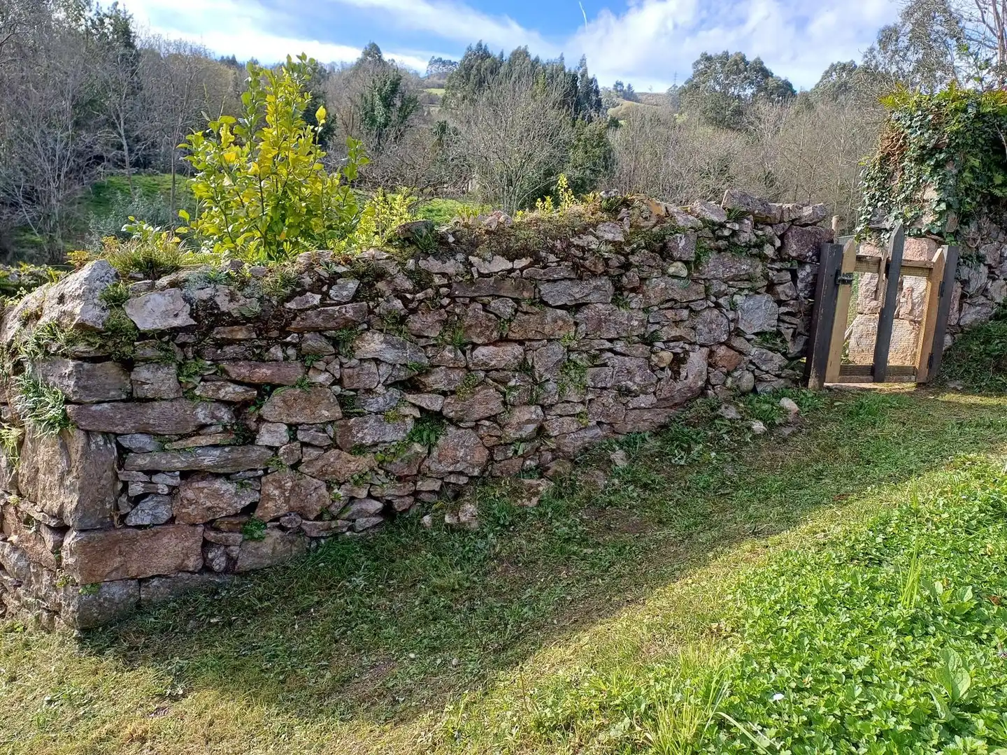 Jardí de Casa o xalet en venda en Illas amb Terrassa, Traster i Piscina