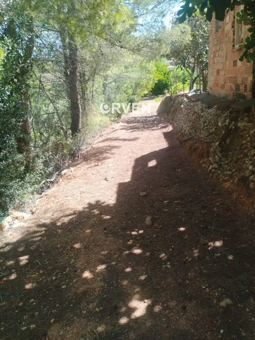 Rural land for sale in Carretera T-240 s/n, imagen 9