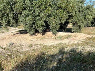 Terreno rústico en venta en Fuente-Tójar