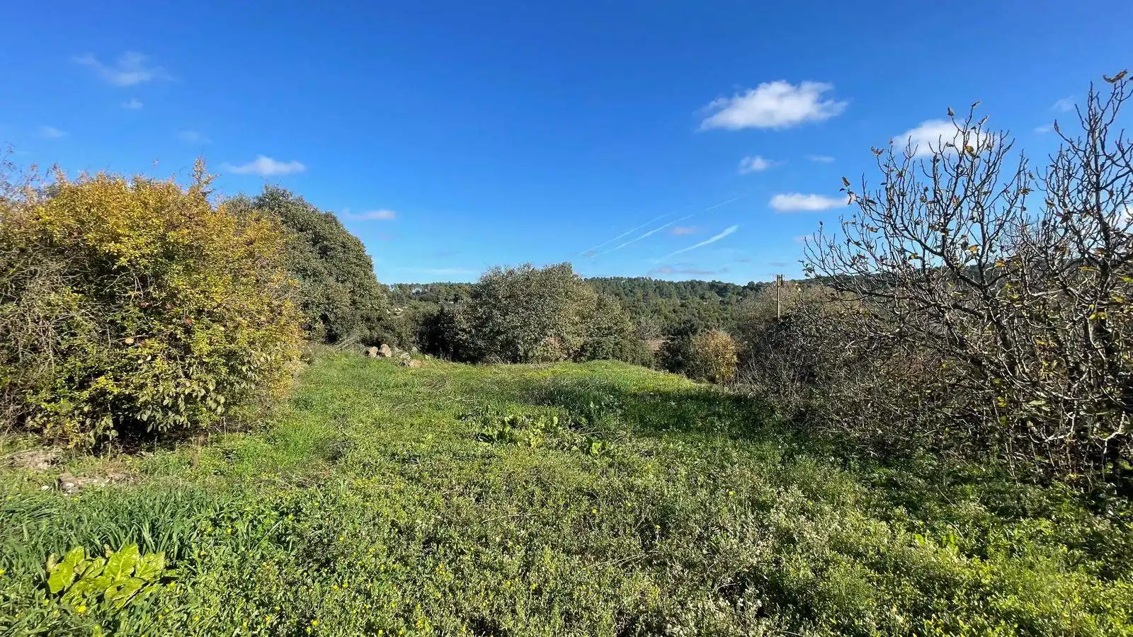 Finca rústica en venta en Vilopriu con Jardín privado y Terraza