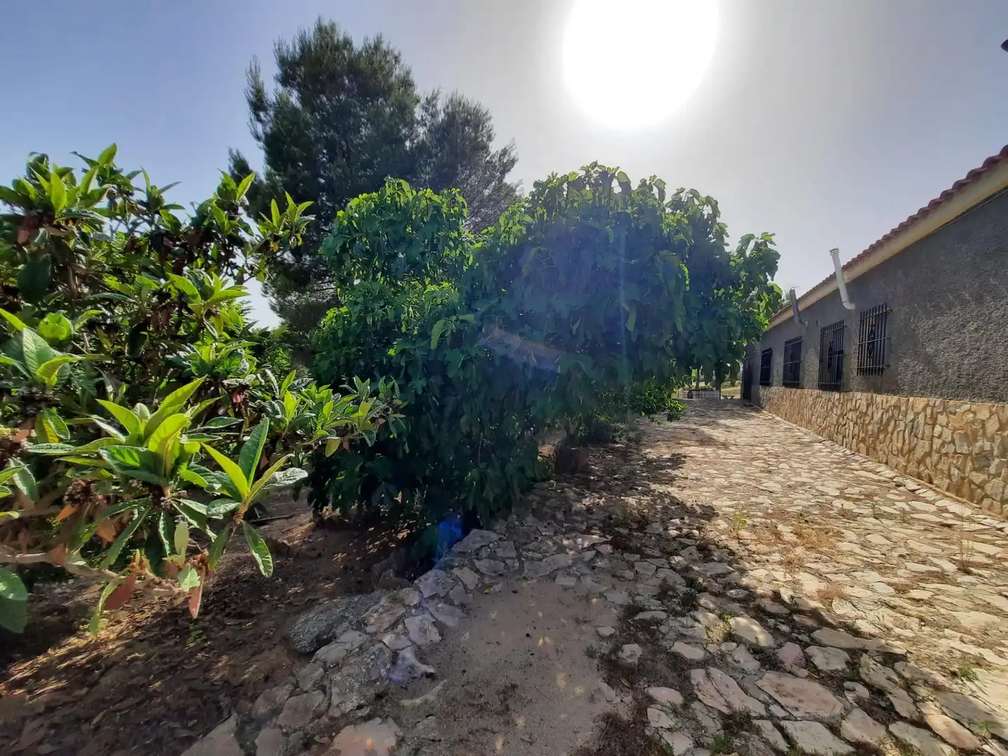 Casa o chalet en venta en Alpera con Amueblado