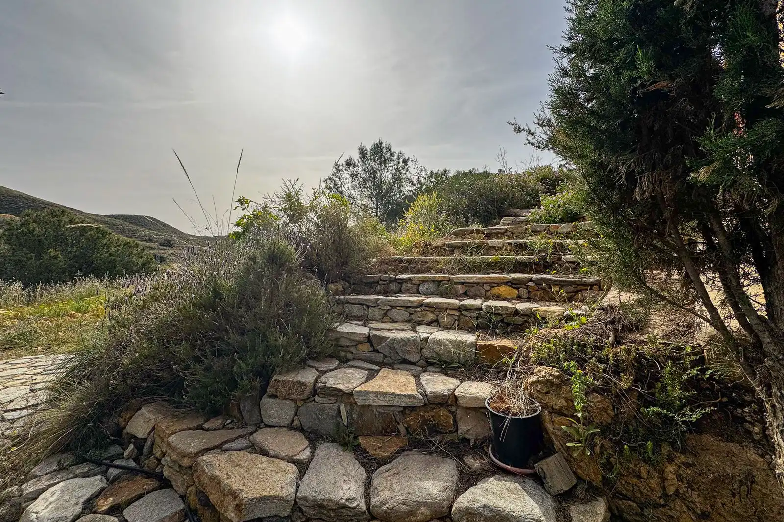 Jardín de Casa o chalet en venta en Bédar con Aire acondicionado, Calefacción y Terraza