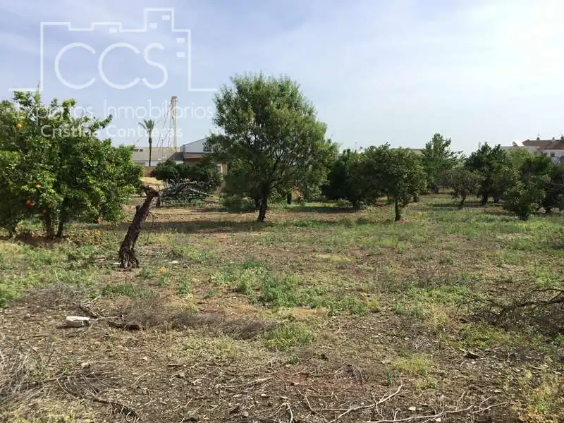 Terreni e lotti in vendita a Olivares