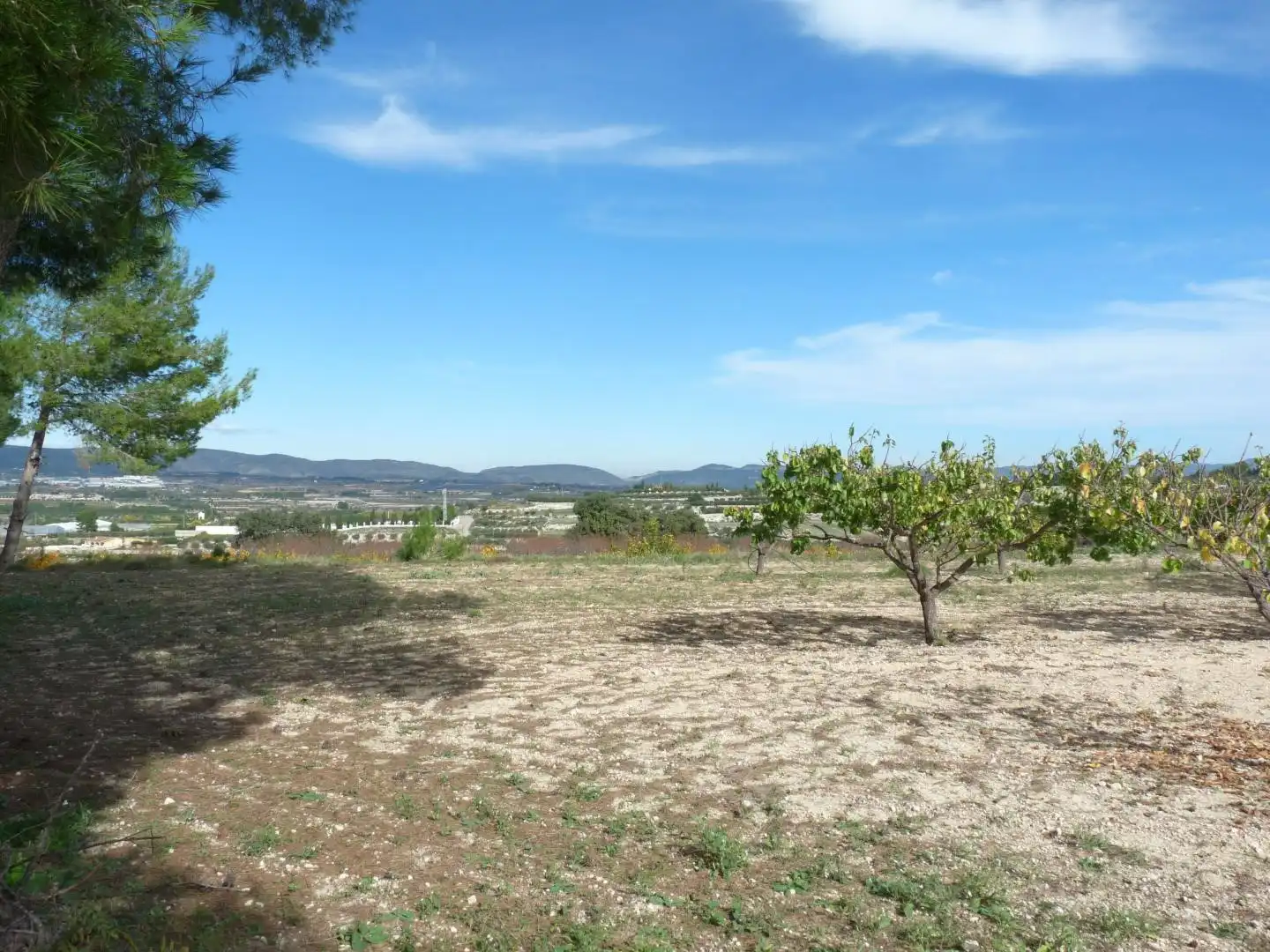 Country house zum Verkauf in Albaida mit Privatgarten und Terrasse