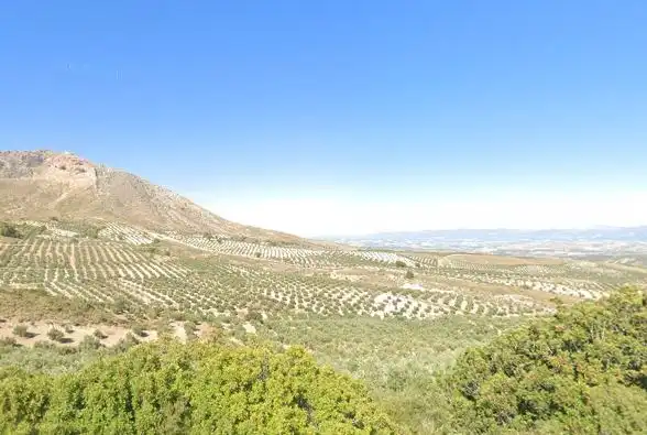 Terrenos y solares en venta en Úbeda, imagen 6