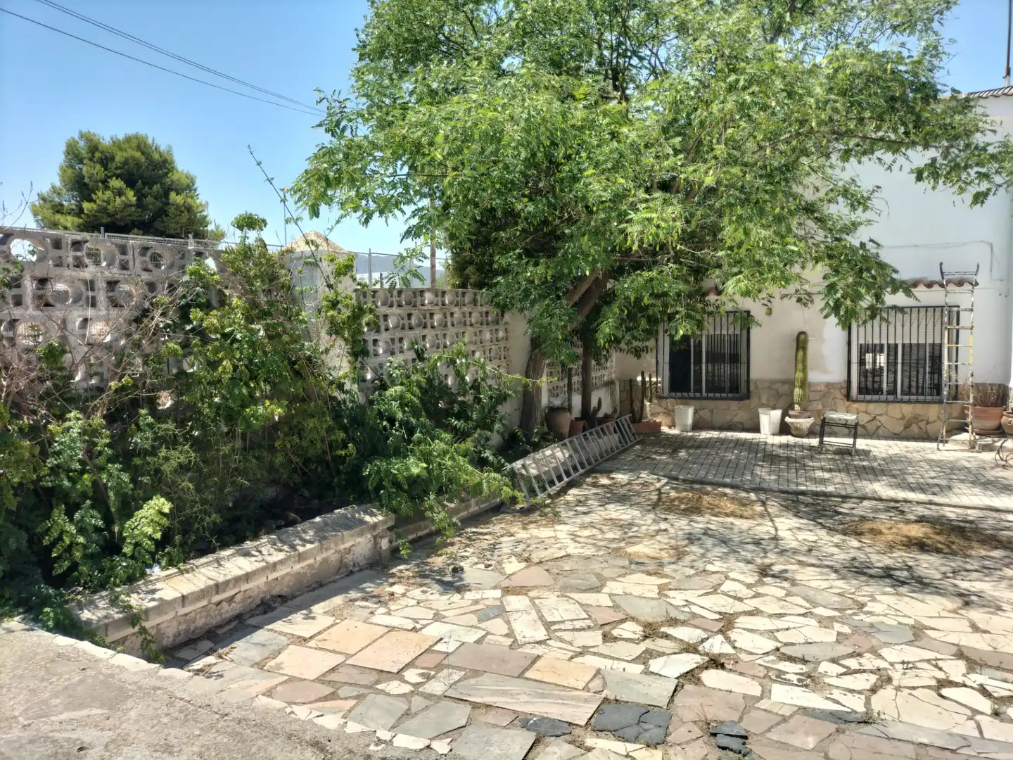Jardín de Casa o chalet en venta en Sax con Jardín privado, Terraza y Trastero