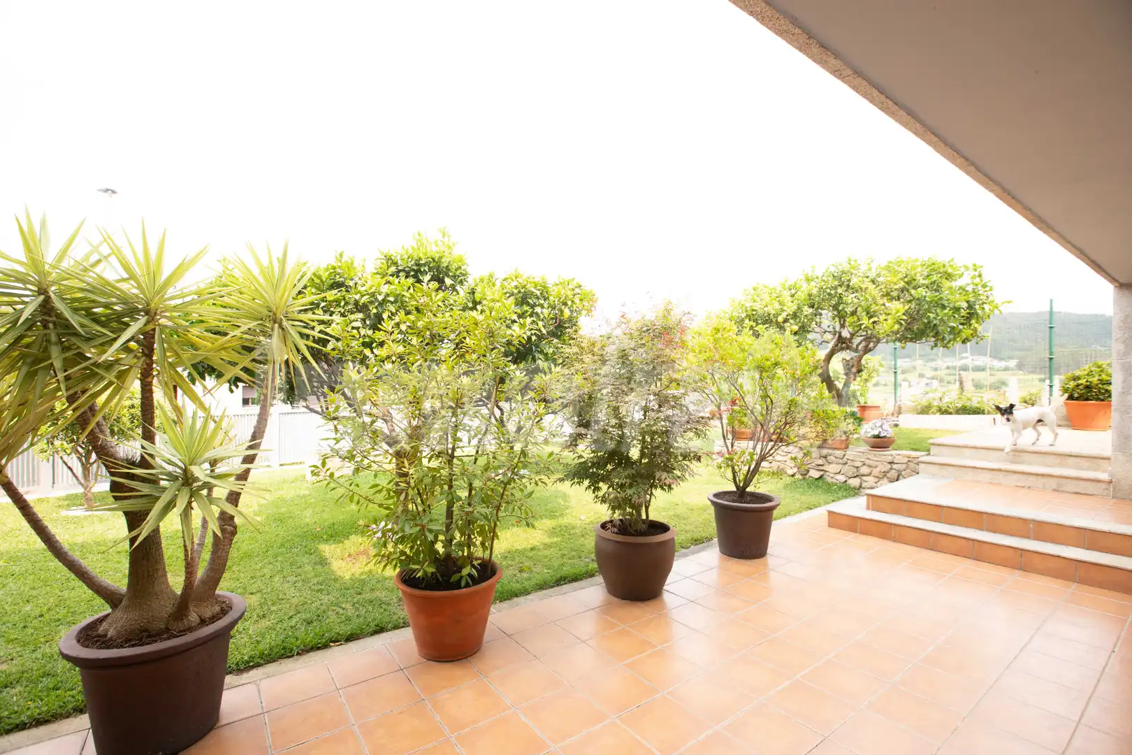 Terraza de Casa o chalet en venta en Sanxenxo con Calefacción, Jardín privado y Parquet