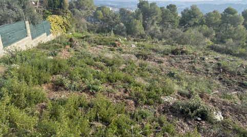 Cabrera DAnoiaTerreno, imatge 2