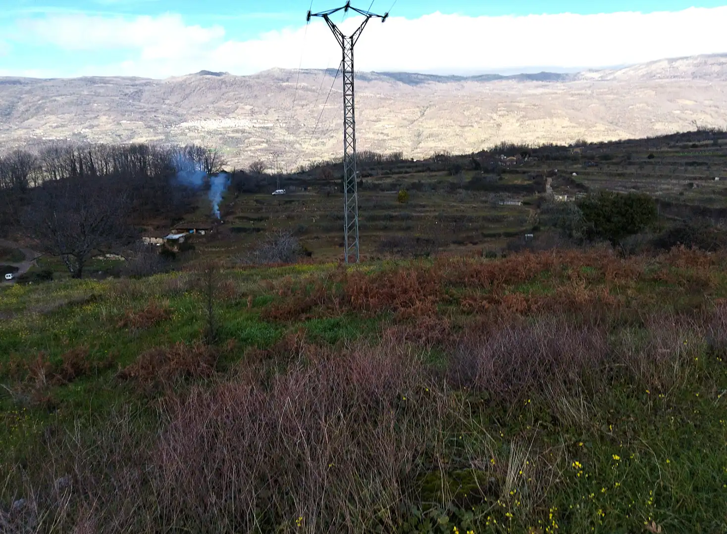 Land for sale in Casas del Castañar