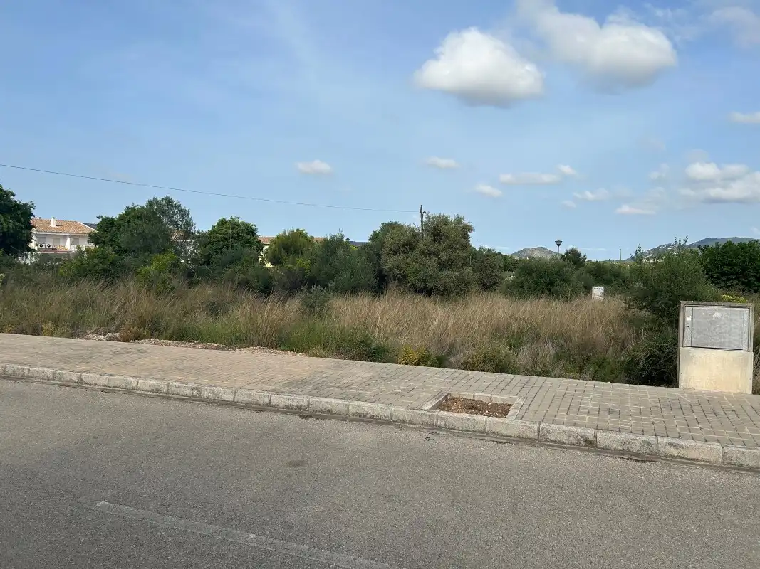 Terreno residencial en venta en Avinguda Alcalde Casimiro Bataller Arlandis 45, imagen 8