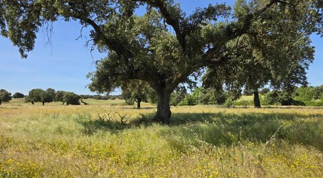 Terreno residencial en Venta en Carretera de Sevilla - Los Montitos