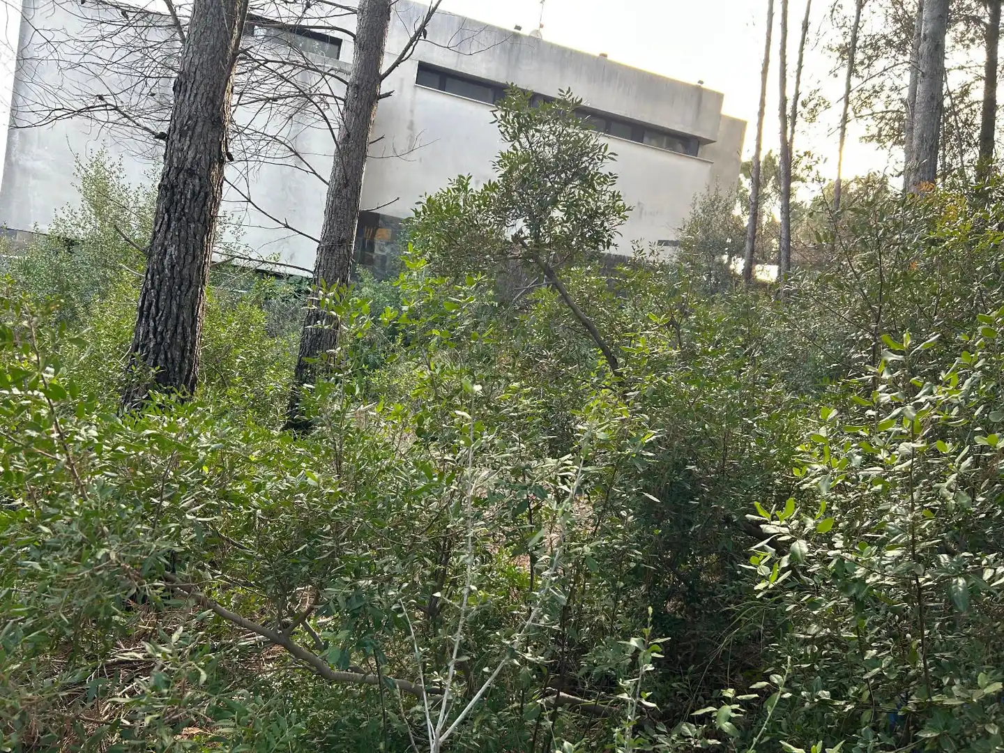 Rustikales Grundstück zum Verkauf in CAN FELIU, imagen 19