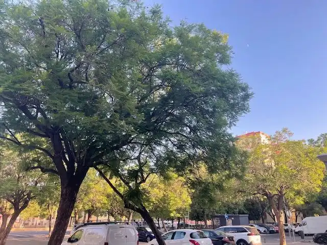Vista exterior de Pis en venda en Sevilla amb Aire condicionat i Terrassa