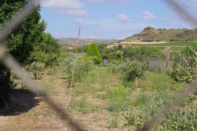 Terreno residencial en Venta en Calle Vado en El Cortijo