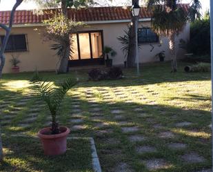 Garden of Premises for sale in Utrera