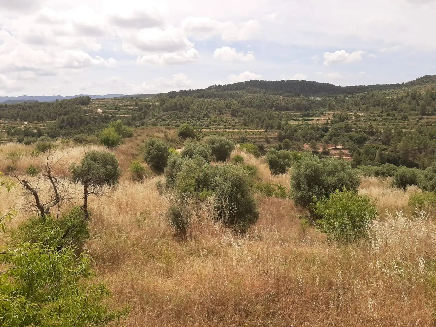 Casa adosada en venda en Cervià de Les Garrigues amb Jardí privat, Terrassa i Balcó