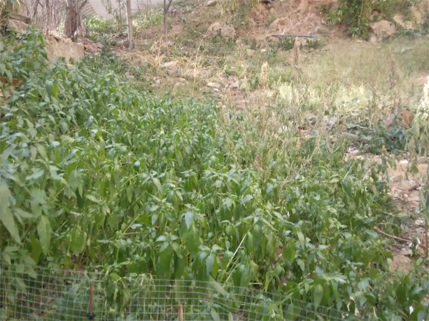 Terreno en venta en Barcelona
